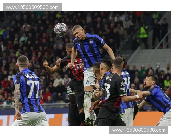 铁血蓝黑崛起之路国际米兰2010欧冠荣耀征途全纪录